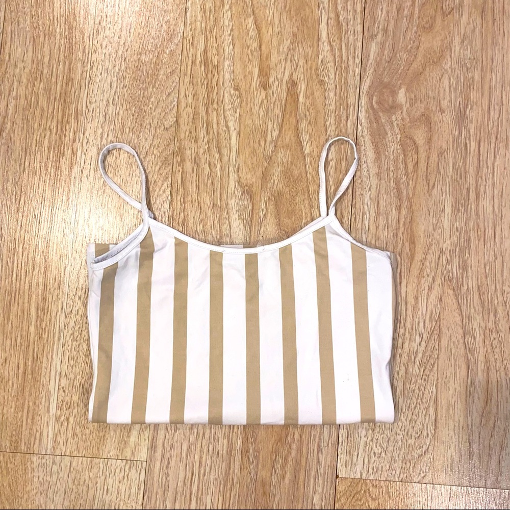 Zara Stripped Crop Top